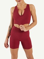 Ensemble de yoga sans couture pour femmes, vêtements de sport sans manches, vêtements de fitness à col en V, vêtements de sport pour la salle de sport, ensemble 2 pièces