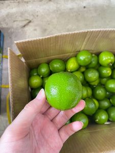 มะนาวไร้เมล็ดจากเวียดนามสดและฉ่ำ - Product Image 2