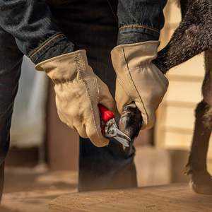 Guantes de cuero vacuno de alta calidad, resistentes al desgaste, para soldadura, protección laboral, construcción, para hombres - Product Image 4