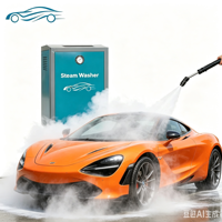 Nettoyeur Vapeur Commercial pour Détail Automobile, Laveuse à Vapeur Électrique en Acier Inoxydable, Pression 8 Bars, Alimentation Automatique en Eau, 220V 380V