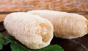 เป็นเจ้าของฟองน้ำใยบวบธรรมชาติในปริมาณมาก-เป็นมิตรกับสิ่งแวดล้อมราคาไม่แพงและเหมาะสำหรับผิว - Product Image 5