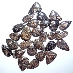 100% cabujones de ágata Turritella naturales increíble ágata Turritella semipreciosa venta al por mayor energía curativa piedras preciosas sueltas caídas - Product Image 1