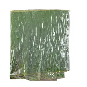 أوراق الموز الخضراء الطبيعية الطازجة/المجمدة/مورد فيتنام لأوراق الموز الطازجة/mss. Elysia Whatsapp + السادة
