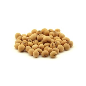 Soja Orgánica Seca Disponible en Envases a Granel para Compradores Globales - Product Image 4