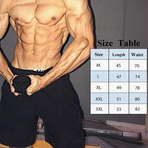 2023 nouveau Fitness sport Shorts séchage rapide décontracté course Capris hommes basket-ball entraînement musculaire Jogging pantalon - Product Image 5