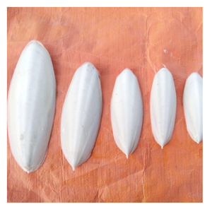 Os de seiche en gros, produit d'usine du Vietnam, avec une qualité stable et le meilleur prix pour les acheteurs en grande quantité - Product Image 1