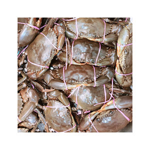 Frozen Crab Meat Steaks Fresh Mud Crab Food <b>Seafood</b> Snacks Item Box Packaging Food and Beverage Kind - Product Image 1