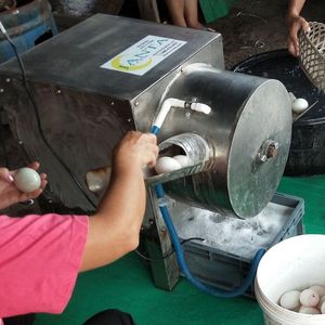 Jantafarm 1 Lane Egg Washing Machine with 2,000 2,200 Eggs/Hour Capacity Full 304 Stainless Steel <b>Body</b> & Water Recycling System - Product Image 6