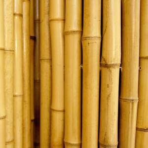 Odern-Paneles de valla biocompostables ecológicos, venta al por mayor, precio barato - Product Image 3