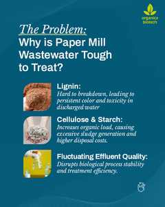 Tratamiento de aguas residuales de pulpa y papel - Product Image 3