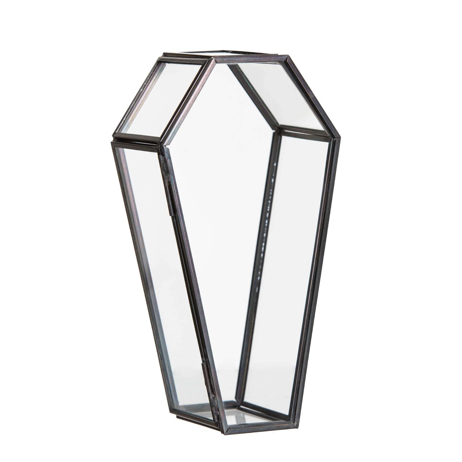 ดังที่แสดง