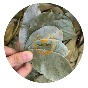 优质100% 纯有机干燥天然绿色全酸叶香叶茶越南凉茶
