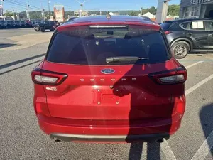 Limpio e impecable - Product Image 2