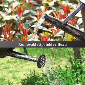 Planting Joy Una colección de macetas elegantes Una vegetación vibrante Eleva tu espacio con macetas - Product Image 5