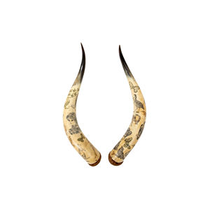 Prix d'usine pour les cornes (provenance bovins) de haute qualité premium pour les acheteurs en gros avec emballage personnalisé et stockage congelé - Product Image 2