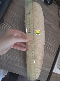 DRIED NATURAL LOOFAH SIZE 25-30CM <b>BATH</b> SPONGE - Product Image 6