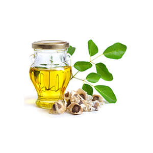 OBM suministra aceite portador de prensa en frío de Moringa de calidad pura y natural 100% para compradores mayoristas genuinos - Product Image 3