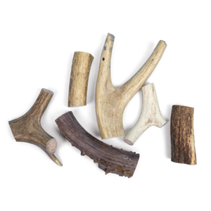 Bois de cerf et orignal entiers à vendre - Product Image 3