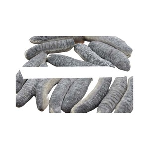 Pepino de mar seco a precio de fábrica, venta al por mayor, calidad de exportación, entrega rápida, suministro global - Product Image 6