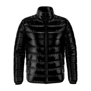 2025 hiver Streetwear doudoune avec coupe-vent bouffant plume légère col montant pour vêtements de mode veste d'hiver - Product Image 2