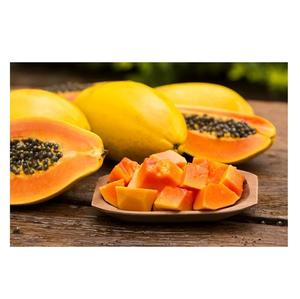 Papaye fraîche de qualité supérieure, grade A, 20 kg, origine Portugal, ingrédients naturels, durée de conservation de 24 mois, disponible à bas prix - Product Image 3