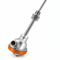 Sensor Suhu Industri Kustom SYJT dengan Probe 200 mm untuk Aplikasi IP67