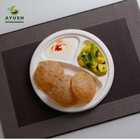 Assiettes jetables écologiques biodégradables de 12 pouces en bagasse pour buffets de luxe modernes, restaurants et plats à emporter