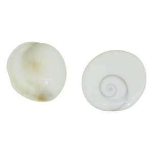 Ensemble de 51 pierres précieuses astrologiques Gomti Chakra blanches naturelles - Cristaux naturels en vrac - Product Image 4
