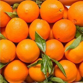 Naranja Dulce y Jugosa, Mandarina Fresca de Primera Calidad 100% de Francia, 6cm, 3kg - Product Image 3