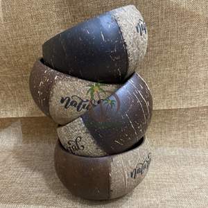 FOURNISSEUR BOL D'ACAI EN COQUILLE DE NOIX DE COCO NATURELLE DE HAUTE QUALITÉ DU VIETNAM/BOL À SMOOTHIE ARTISANAL SET DE BOL À SALADE AVEC CUILLÈRE DE COCO - Product Image 4