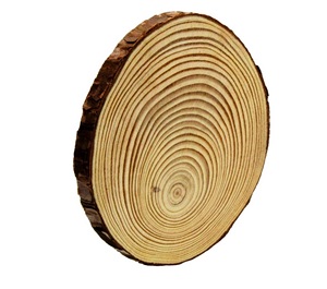 Wood Bone Inlay Round Coasters Custom Wood Coaster <b>Set</b> with Handmade Bone and Brass Inlay Made in India - Product Image 3