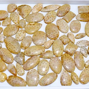 ปะการังฟอสซิลธรรมชาติ100% อัญมณีหลวมรูปร่างผสมและขนาดฟอสซิลปะการัง Cabochon อัญมณีหลวมสำหรับใช้ทำเครื่องประดับ - Product Image 6