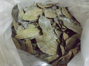 Feuilles de corossol séchées de qualité supérieure 1 kg, feuilles de graviola cultivées à la ferme pour tisane, 100% naturelles, biologiques, thé de corossol 99 GD - Product Image 4