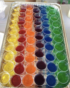 Délicieuses garnitures de pudding aux fruits mélangés | Idéal pour le thé à bulles et les bonbons - Product Image 5