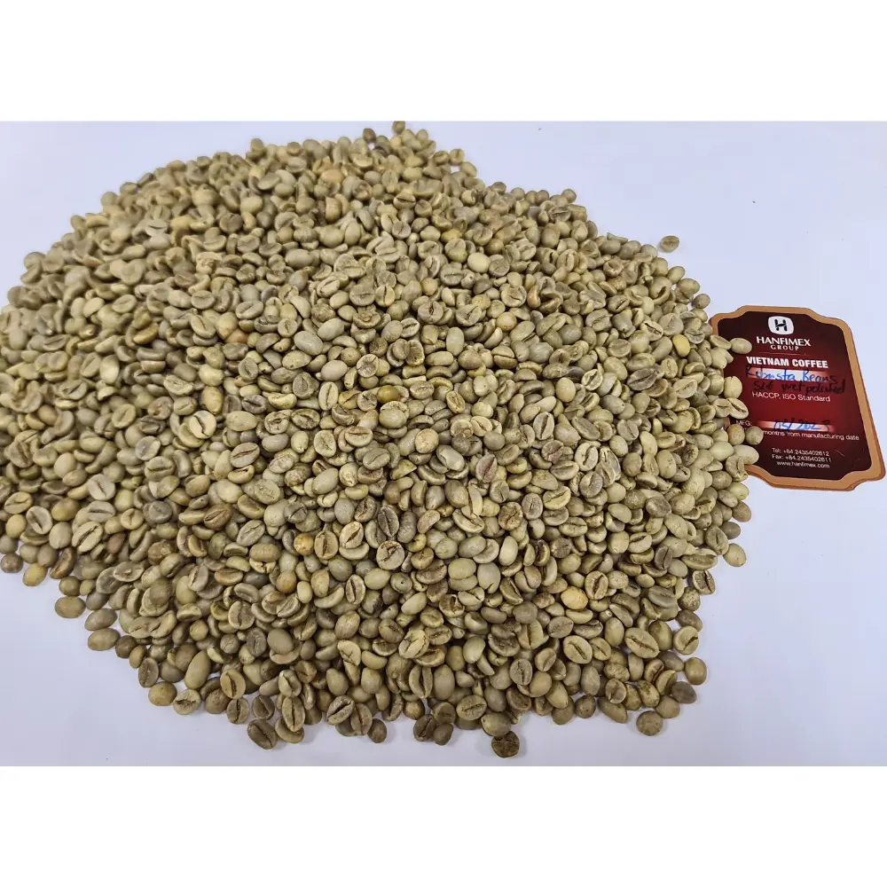 FEIJÕES DE CAFÉ ROBUSTA VIETNAME S16 POLISHED 2023 2024 NOVA CULTURANÇA GROSSADO BOM PREÇO BAIXO TOP FÁBRICA HANFIMEX 0084374074818