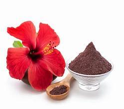 POUDRE DE FLEUR D'HIBISCUS À BASE DE PLANTES DE QUALITÉ SUPPORT DU SYSTÈME IMMUNITAIRE ET UTILISATION DU BIEN-ÊTRE D'ÉTIQUETTE PROPRE - Product Image 5