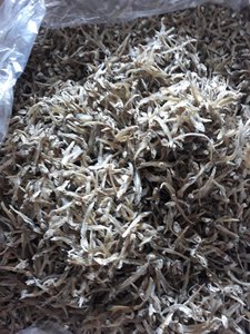 Viet Delta, sin aditivos, calidad superior, secado al sol, grado bajo en sal, un pez anchoa seco de Vietnam con buen precio María - Product Image 6