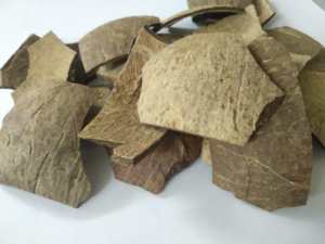 Materia Prima de Cáscara de Coco Premium de Vietnam Ideal para Decoración Artesanal Producción de Carbón Vegetal y Distribución de Exportación 2025 - Product Image 5