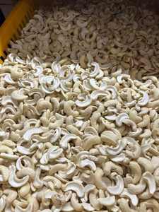 เม็ดมะม่วงหิมพานต์อบแห้งแบบธรรมชาติ | เกรดสูง | สำหรับการคั่วและการผลิตขนมขบเคี้ยว | มีสินค้าให้เลือก - Product Image 4