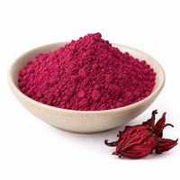 Poudre d'extrait d'hibiscus soluble dans l'eau, ingrédient de fleur de roselle, qualité alimentaire, vente en gros, approvisionnement direct usine