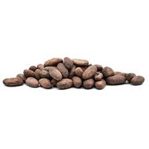 Granos de Cacao Orgánicos al por Mayor y Semillas de Cacao Variedad Forastero, Bolsas de 50 kg, Tostados, Grado de Procesamiento 1, 3 Años de Vida Útil - Product Image 1