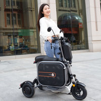 Tricycle électrique à deux places haute vitesse 250W, scooter électrique pliable à 3 roues pour adultes