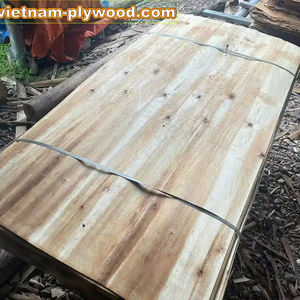 Proveedor de Chapa de Madera de Acacia y Eucalipto de Vietnam, Mejor Precio, Exportador Filipino HCPLY, Aplicación en Almacenes, 1 Año de Garantía, 18% - Product Image 3