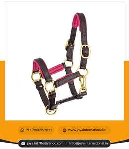 Mini licou en cuir rembourré de haute qualité et haut confort Vente en gros Miniature hippique Halters intelligents - Product Image 4