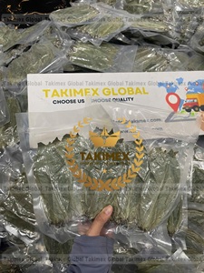 ใบมะขามป้อมอบแห้ง - ขายดีจากเวียดนาม คุณภาพพรีเมียม ราคาสุดคุ้ม - Product Image 3