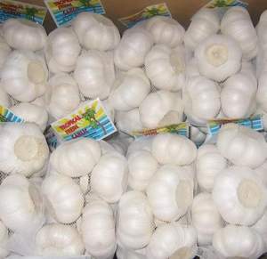 Organic Peeled <b>Garlic</b> 2024 Whole Sale White <b>Garlic</b>/<b>Garlic</b>/Greece <b>Fresh</b> Food Processing - Product Image 3