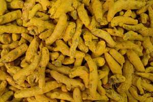 Fourniture en gros d'épices de haute qualité curcuma entier séché doigt de curcuma frais - Product Image 4