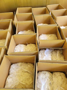 Chips de noix de coco séchées de qualité supérieure, provenant de la pulpe de noix de coco fraîche, séchées et emballées proprement pour la fabrication alimentaire et les marchés de collations - Product Image 5