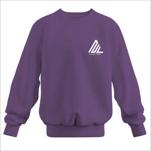 2025 sur mesure de haute qualité coton épais laine surdimensionné épaule goutte 350g poids personnalisé unisexe sweat à col rond - Product Image 1