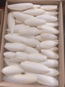 ก้างปลาปลาหมึกสดทำจากเวียดนาม // shyn Tran ล้างให้แห้ง - Product Image 6